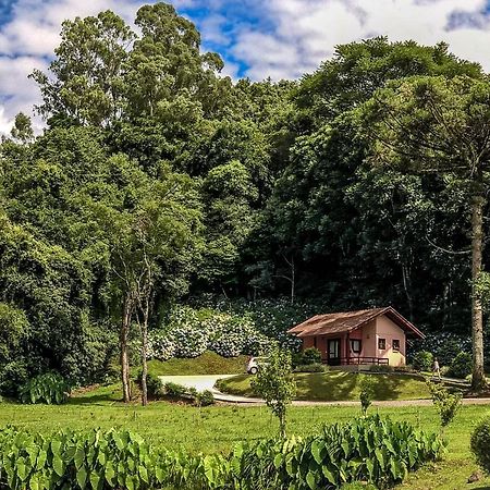 Pousada Pinhal Alto Nova Petropolis Kültér fotó