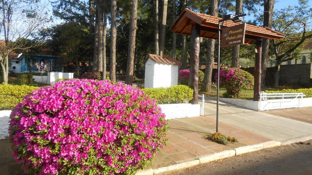 Pousada Pinhal Alto Nova Petropolis Kültér fotó
