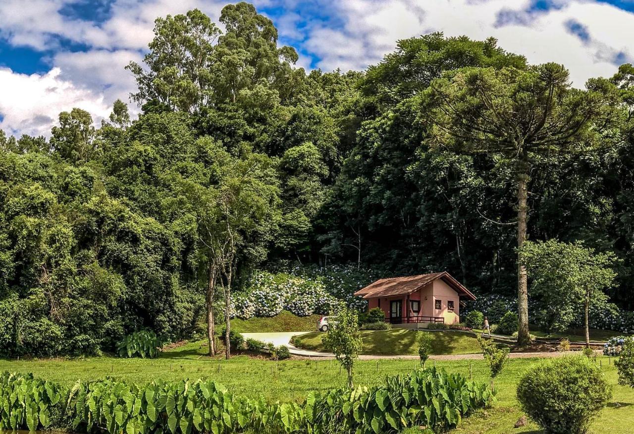 Pousada Pinhal Alto Nova Petropolis Kültér fotó